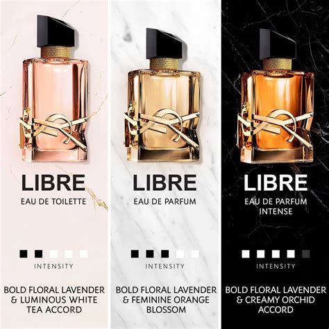 ysl livre|YSL libre diva.